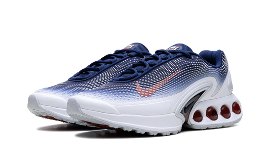Air Max Dn "Team USA" FV2250 100