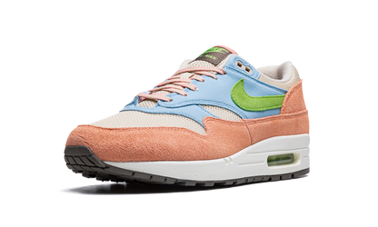 Air Max 1 "Light Madder Root" DV3196 800