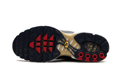 Air Max Plus "FFF" fb3350 400