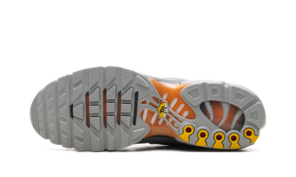 Air Max Plus "Light Smoke Grey Hot Curry" DM0032 037