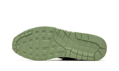 Air Max 1 "Ugly Duckling - Honeydew" DZ0482 001