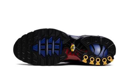 Air Max Plus "25th Anniversary" FV0393 001