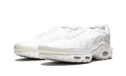 Air Max Plus "Triple Black" AJ2029 001