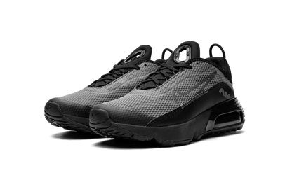 Air Max 2090(GS) "Black Wolf Grey" CJ4066 001