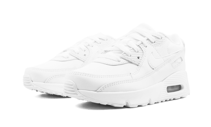 Air Max 90 CD6867 100