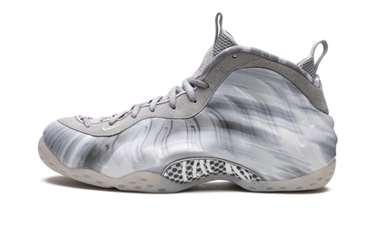 Air Foamposite One "Dream a World - Grey" DM0115 001